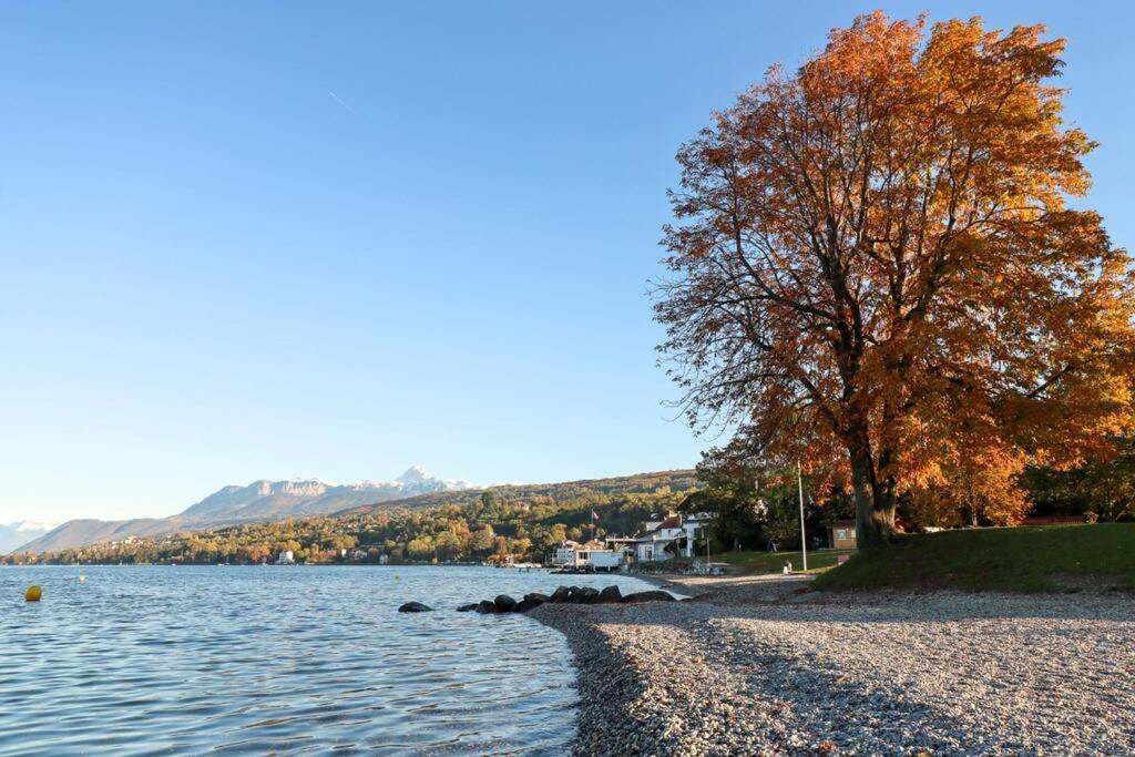 L'Escale Du Leman Apartment Publier Luaran gambar
