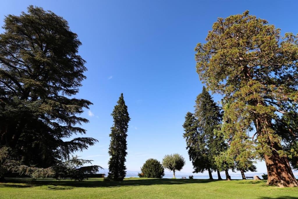 L'Escale Du Leman Apartment Publier Luaran gambar