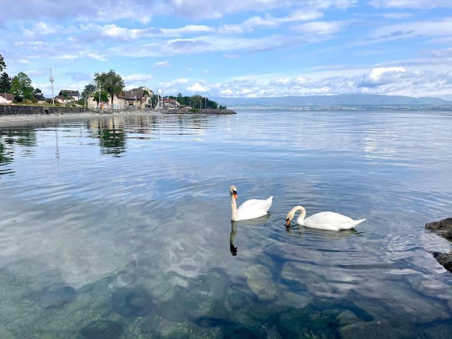 L'Escale Du Leman Apartment Publier Luaran gambar